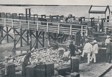 Die Perlenfischerei - Verpackung der Muscheln, 1923