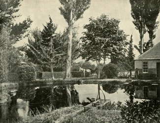 Die Lachsteiche, New Norfolk