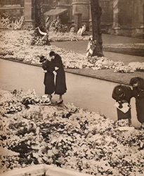 Das Staatsbegräbnis von König Georg V. in Windsor: Gedenkkränze, 1936