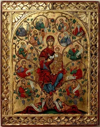 Der Baum Jesse Der Heilige Baum