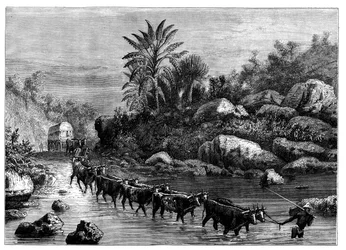 Reisen in Griqualand, Südafrika, ca. 1890