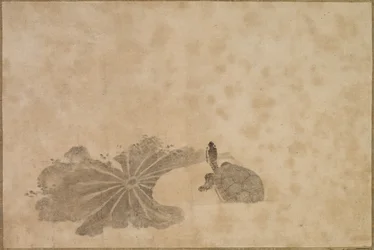 Schildkröte in einem Lotus-Teich, 18. Jahrhundert