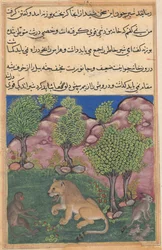 Tuti-Nama Geschichten eines Papageis: Geschichte XXVIII: Der Affe rät dem misstrauischen Löwen..., ca. 1560