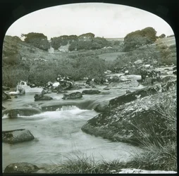 Oberer Dart - Dartmoor