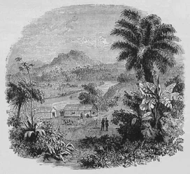Ansicht in Cayenne, um 1880