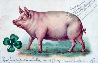 Vintage französische Postkarte, um 1900