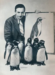 Walt Disney mit Pinguinen, 1934-1935
