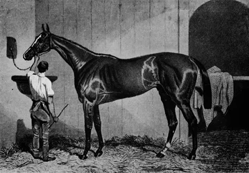 Westaustralier, 1850-1870