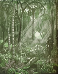 Wie die mächtigen Kohlewälder aussahen, 1935