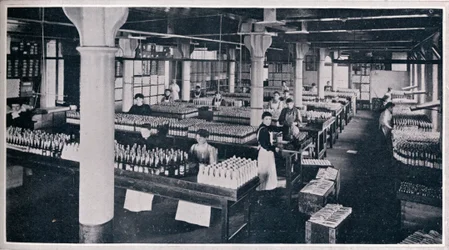 Wo das berühmte Yorkshire Relish hergestellt wird, 1906