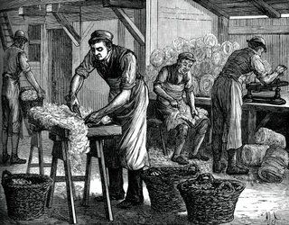 Wollsortierer, ca. 1880