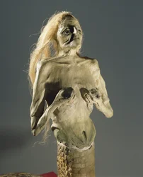 Halb Frau, halb Schlange, Nachkomme der Melusine, 1900