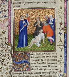 Ein Arzt mit seinen Patienten, aus Des Proprietez des Choses, ca. 1415