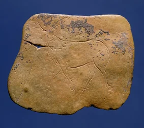 Rentier, eingeritzte Zeichnung auf Kalkstein, Paläolithikum, Magdalénien V, aus Laugerie Basse, Dordogne, ca. 12000 v. Chr.