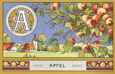 A: Apfel - Alphabet Palmin. Serie von Chromolithografien herausgegeben von H. Schlinck & Cie, Hamburg, o. J. Werbung für Palmin feinstes Kokosfett. Maße: 7 x 11 cm