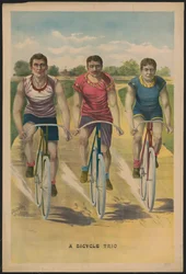 Ein Fahrradtrio