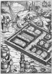 Ein Salzwiesen im 16. Jahrhundert (Gravur)