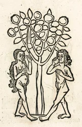 Adam und Eva unter dem Baum der Erkenntnis