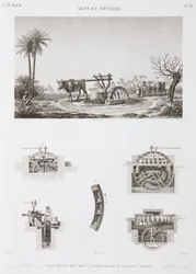 Tierkraft Tierbetriebene Bewässerung, Ägypten, ca. 1798