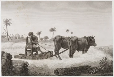 Ackerbau, Erntemaschine, Ägypten, ca. 1798
