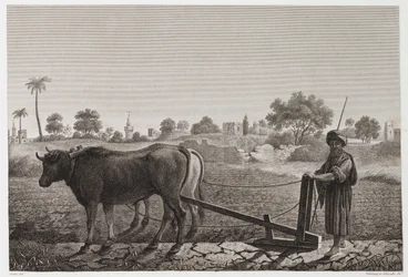 Ackerbau, Pflügen Pflügen mit Ochsen, Ägypten, ca. 1798