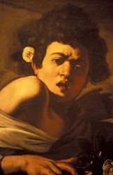 Junge von einer Eidechse gebissen (Detail)