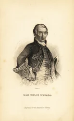 Don Felix d