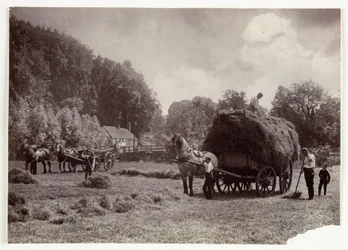 Landwirtschaftsszenen, Ernte & Lagerung, Vor 1900 Heuernte, ca. 1890