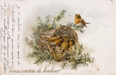 Französische Grußkarte mit Rotkehlchen und Nestelementen