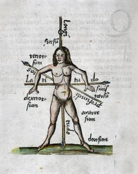 Geographie 16. Jahrhundert: menschliche Figur, die Längen- und Breitengrade darstellt, ihr Körper wird von Lanzen durchbohrt, die nach den Winkeln der imaginären Linien ausgerichtet sind