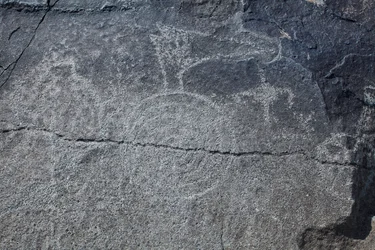 Indische Petroglyphen - Tier- und symbolische Darstellungen - Petroglyph National Monument - Albuquerque, New Mexico, USA