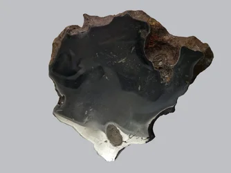 Eisenmeteorit (IAB). Gefunden in Canyon Diablo (USA) 1891. Nationalmuseum für Naturgeschichte, Paris