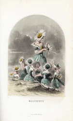 Die Feen der Gänseblümchen auf den Wiesen, gekrönt mit Blumenhüten, eine verlässt die Blütenblätter eines Gänseblümchens - Radierung von Charles Geoffroy nach einer Illustration von Jean Ignace Isidore Gerard dit J.J.Granville für Les fleurs animées
