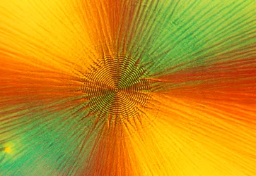 Mikrographien (Licht) Ascorbinsäure, Lichtmikrographie