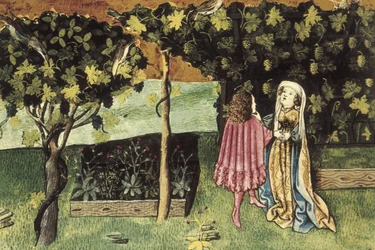 Miniatur über Trauben, Frucht, die Bauchfett reduziert und schlank macht - IBN BUTLAN, Abu-l Hasan al-Mujtar (ca. 1001 - 1066). Nestorianischer christlicher Arzt und Philosoph aus Bagdad. Folio 83r. Illustration über die Trauben, Frucht, die Bauchfett redu