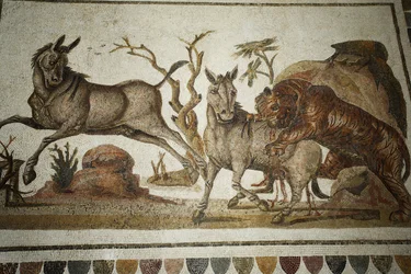 Mosaik von Tierkämpfen: Tiger greift zwei Nachtprimaten an. II Jh. n. Chr. / Museum von El Jem (Antikes Thysdrus) / Tunesien