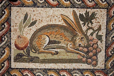 Mosaik, das einen Hasen mit Spähblick zeigt, der eine Traube grast (2. Hälfte des 2. Jahrhunderts n. Chr.) / in situ in El Jem (Antikes Thysdrus) / Tunesien