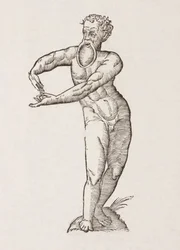 Nigrita labio inferiori pendulo