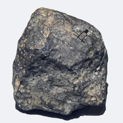 Gewöhnlicher Chondrit (L/LL5). Gefallen in Toimbee, Ukraine 1866. Nationalmuseum für Naturgeschichte, Paris.
