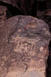 Petroglyphen mit Darstellungen von Tieren und Figuren - Petroglyph National Monument - Albuquerque, New Mexico, USA (USA)