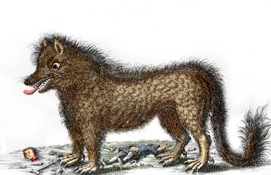 Darstellung der Bestie von Gévaudan, die Knochen ihrer Opfer um ihre Beine verstreut, Gravur um 1764