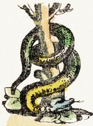 S - Schlange - Kinderunterhaltungsalphabet ca. 1890 (Lithographie)