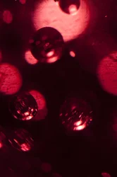 Spotlight (Fotografie)