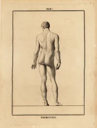 Statue von Orestes, nackt, Sohn des Agamemnon in der griechischen Mythologie