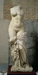 Die Sinuessa Aphrodite