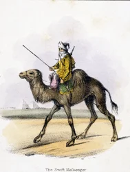 Der schnelle Bote, um 1845