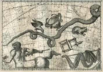 Das Sternbild der Hydra, mit einem Raben, der sie pickte, und einem Becher des Ausgleichs, entstanden aus dem Mythos von Apollo, der einen Raben mit einem Becher voll Wasser schickte, um Jupiter ein Opfer zu bringen. Unter der Hydra zeichnete der französis