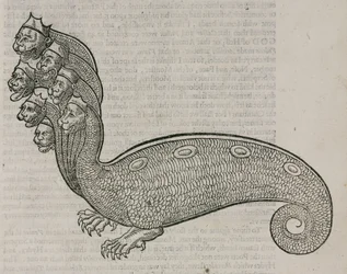 Die Hydra