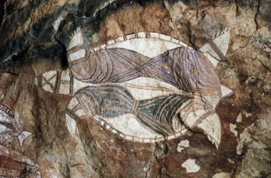 Schildkröte, Felsmalerei, Arnhem Land, Northern Territory, Australien, Aborigines-Kultur