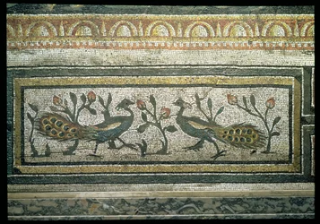 Zwei Pfauen, Detail der dekorativen Bordüre eines Mosaikfußbodens mit Darstellungen der Jahreszeiten und Jagdszenen aus der konstantinischen Villa in Daphne, römisch, ca. 325-330 n. Chr. (Detail von 105665)